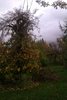 IMAG0747.jpg