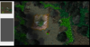 WC3ScrnShot_011714_010907_02.PNG