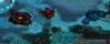 WC3ScrnShot_020814_061303_01.jpg