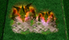 modelscaling.png