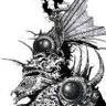 Dervacus