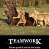 WINbyTEAMWORK