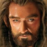 Thorin OK-shield