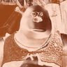 Shrok64