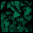DFDATA