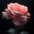 DAngeles-