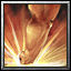 www.hiveworkshop.com
