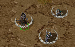 www.hiveworkshop.com