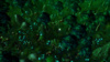 129274-3bbed18ad725dc22a44acb4da91e697f_tn.jpg