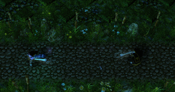 www.hiveworkshop.com