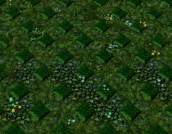 www.hiveworkshop.com