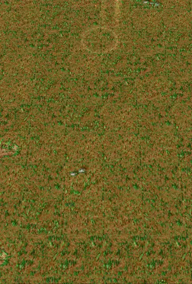 178228-a0aa360890fa24033e16fa72d3ce39d6.webp