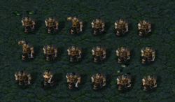 www.hiveworkshop.com