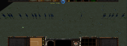 www.hiveworkshop.com
