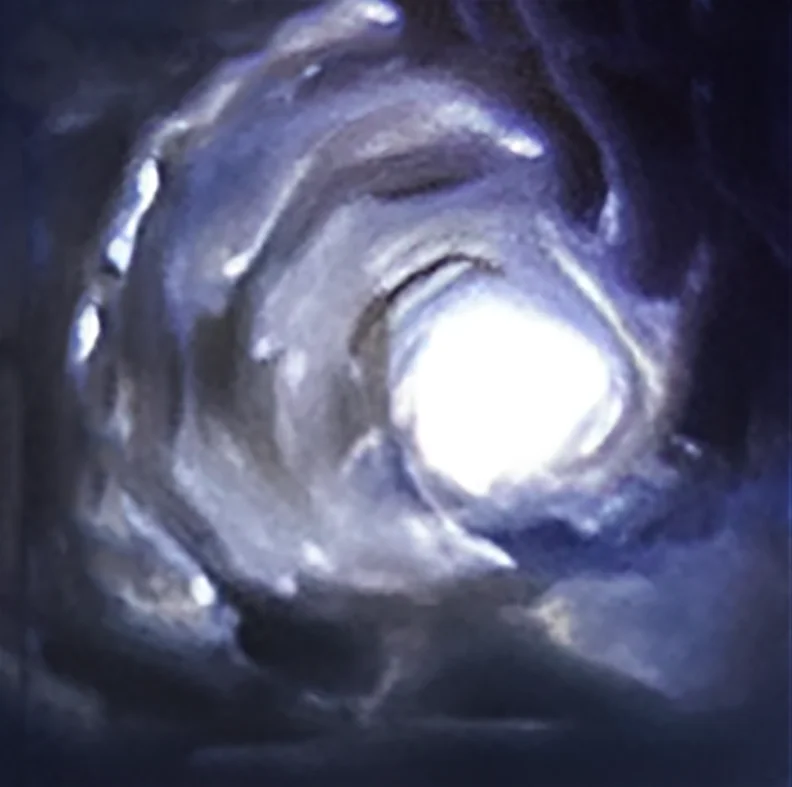 215134-87f7095702b4c6e404f2d1dda2170843.webp