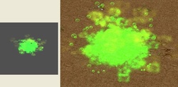 www.hiveworkshop.com