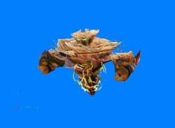 www.hiveworkshop.com