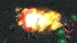 www.hiveworkshop.com