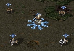 www.hiveworkshop.com