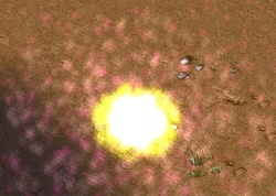 www.hiveworkshop.com