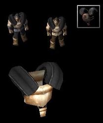 www.hiveworkshop.com