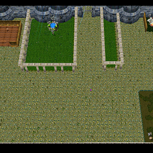 Castle wars(preview)