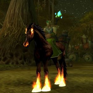 My Adventures from World of Warcraft