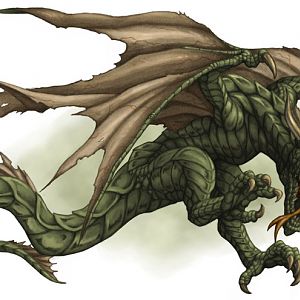 Dragons