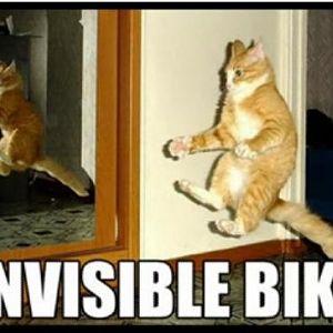 Funny pics