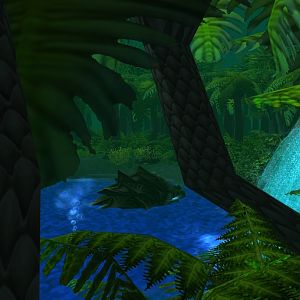 Terrain