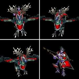 The Night Elves