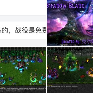 The Shadow Blade