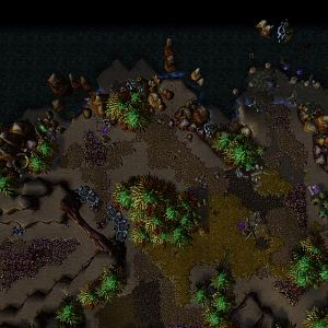 A New Land