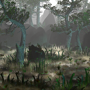 My Terrain Showcase