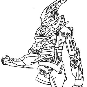 Illustrations