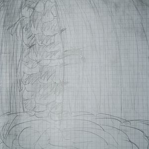 Drawn Stuff :)