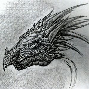My Own Dragons Album
