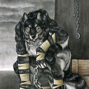 Wolves and Lycans