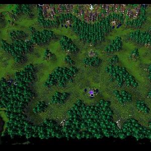 ForestVillage