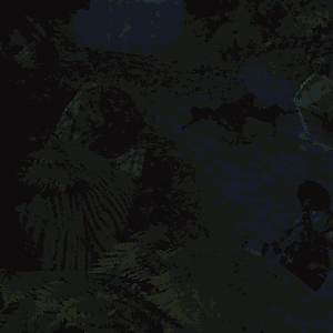 C.V Screenies