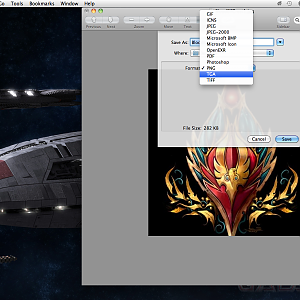 Making your Own Custom Preview