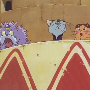 The cat returns