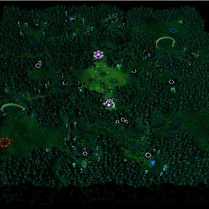 Shadowsong's Road