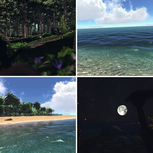 Island Survival