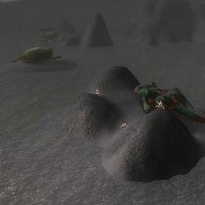 Beached Sea Threshers and sea Turtles in Darkshore