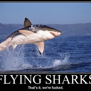 Flying Sharks