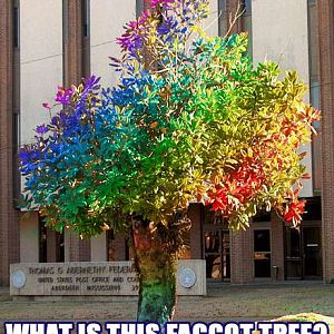 Gay Tree