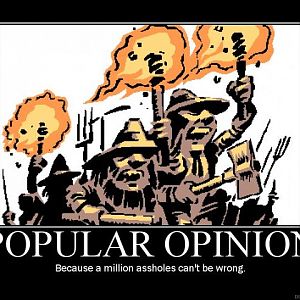 Popular Opinion