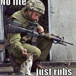 No fite, just rubs