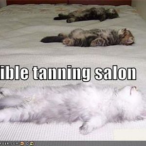 Tanning salon